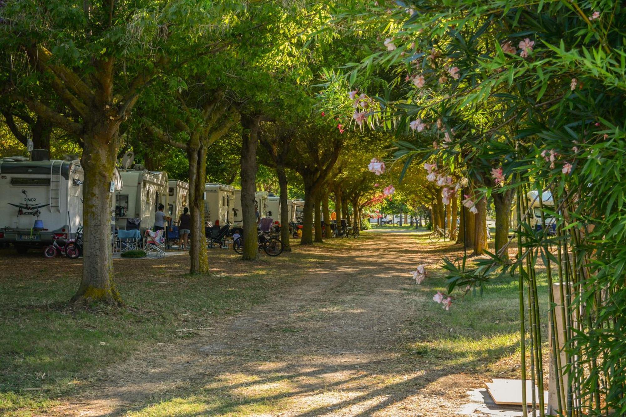 Centro Vacanze - Garden River Altidona Exterior photo
